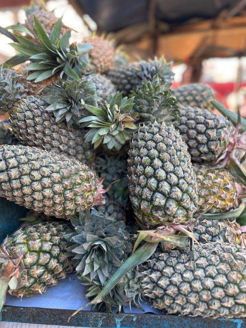 FRESH ORGANIC PINEAPPLE – VIETNAM | SWEET TROPICAL FRUIT FOR EU, USA, JAPAN, UAE & KOREA 2