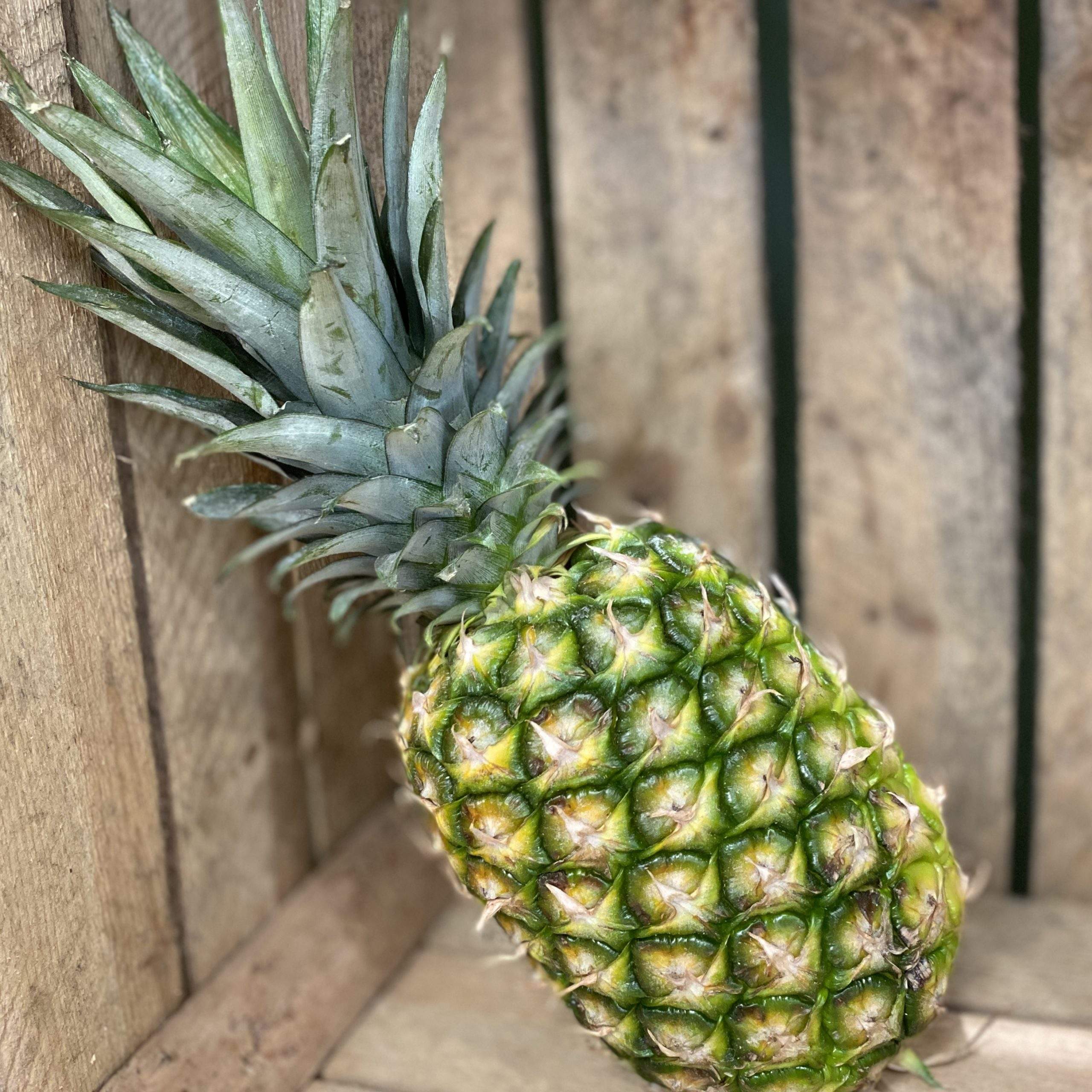 FRESH ORGANIC PINEAPPLE – VIETNAM | SWEET TROPICAL FRUIT FOR EU, USA, JAPAN, UAE & KOREA 3