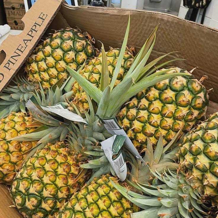 FRESH ORGANIC MD2 PINEAPPLE – VIETNAM | FARM-DIRECT BULK EXPORT SUPPLY