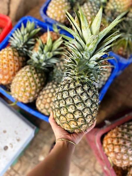 FRESH ORGANIC MD2 PINEAPPLE – VIETNAM | FARM-DIRECT BULK EXPORT SUPPLY 4