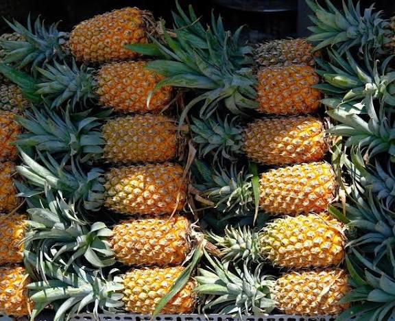 EXPORT-GRADE CANNED PINEAPPLE JUICE – VIETNAM | WHOLESALE & B2B SUPPLY 4