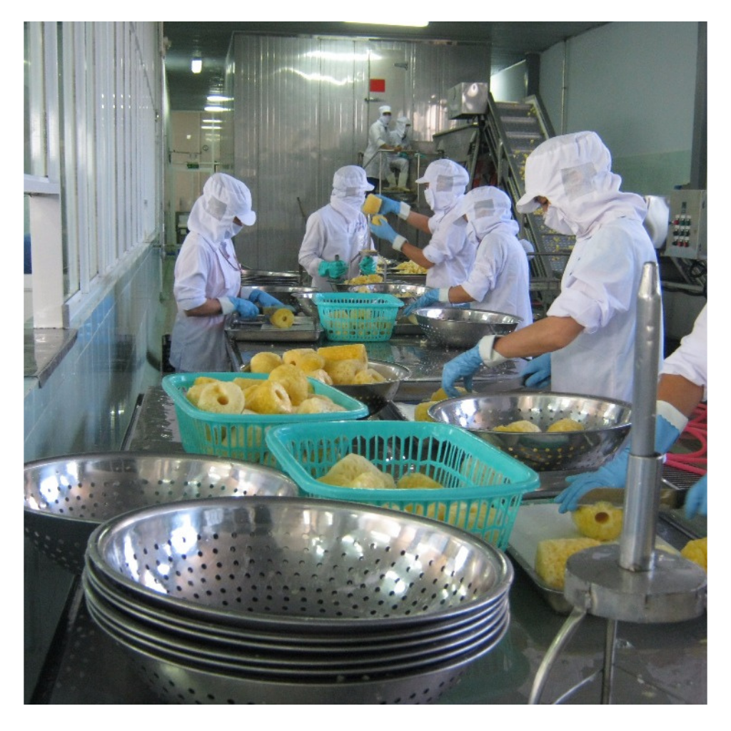 SWEET YELLOW FROZEN PINEAPPLE DICES – VIETNAM | FOR YOGURT, SMOOTHIES, BAKERY & GLOBAL DISTRIBUTION