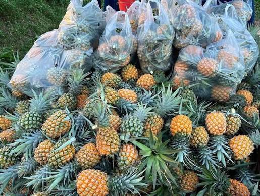 CANNED PINEAPPLE JUICE WITH PINEAPPLE PULP – VIETNAM | EXPORT-GRADE B2B SUPPLY 4
