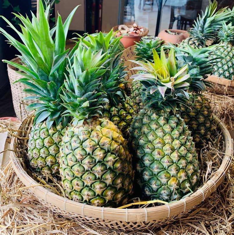 FRESH TROPICAL PINEAPPLE – VIETNAM | LARGE, UNIFORM FRUIT FOR WHOLESALE & EXPORT