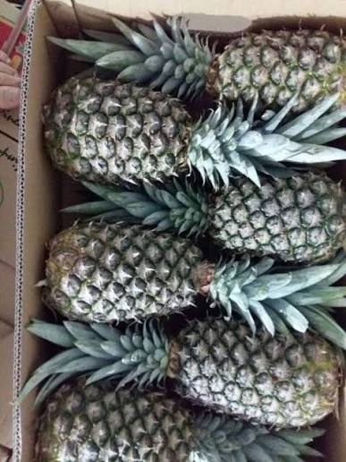 330ML CANNED ORGANIC PINEAPPLE JUICE – VIETNAM | EXPORT-READY TROPICAL FRUIT BEVERAGE 3