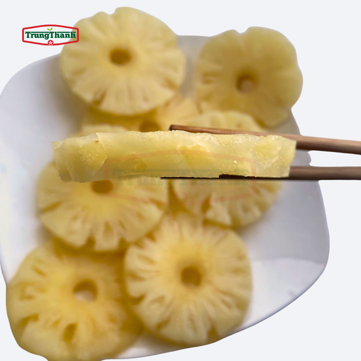 CANNED PINEAPPLE SLICES IN JUICE – VIETNAM | 580ML, 850ML & 3050ML OEM BULK SUPPLY 4