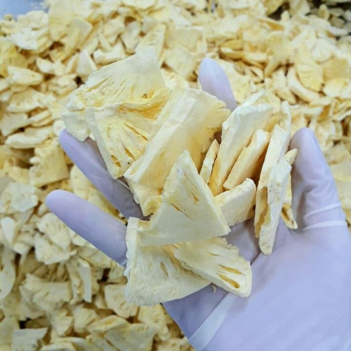 PREMIUM VIETNAMESE DRIED PINEAPPLE – SELECTED RIPE TROPICAL FRUIT | WHOLESALE & EXPORT
