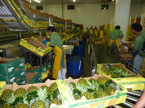 1L PINEAPPLE JUICE – VIETNAM | OEM & ODM, PRIVATE LABEL, BULK SUPPLY 4