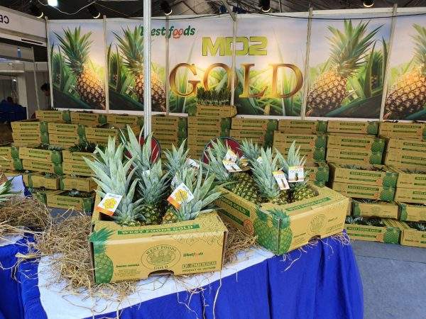 TROPICAL PINEAPPLE JUICE – FRESH & IQF FROZEN PINEAPPLE | VIETNAM B2B SUPPLY 2