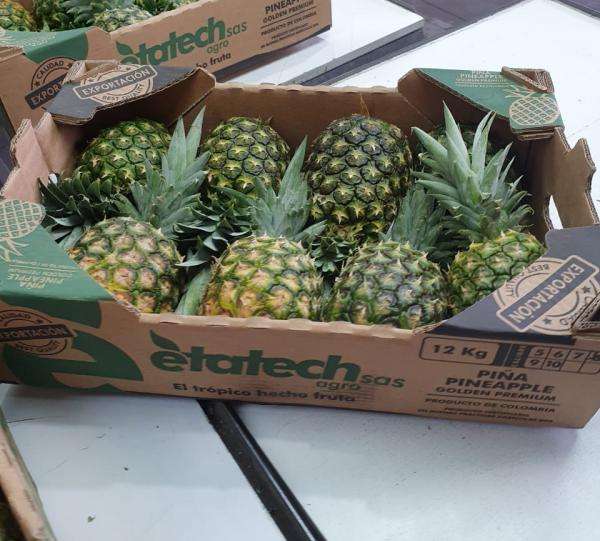 TROPICAL PINEAPPLE JUICE – FRESH & IQF FROZEN PINEAPPLE | VIETNAM B2B SUPPLY 3