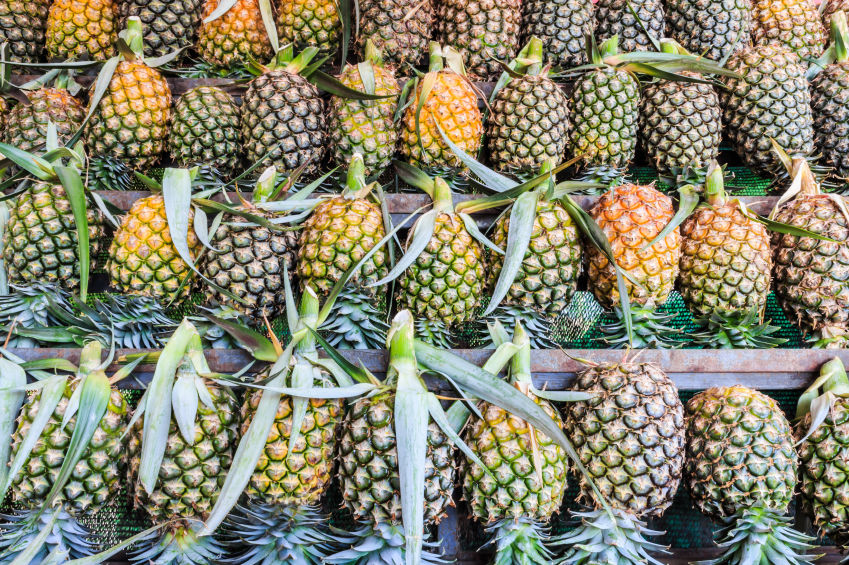 TROPICAL PINEAPPLE JUICE – FRESH & IQF FROZEN PINEAPPLE | VIETNAM B2B SUPPLY 4