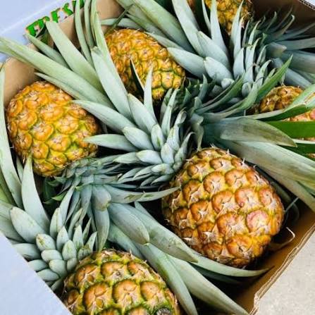 500ML CANNED PINEAPPLE FRUIT DRINK – VIETNAM | 24 CANS/CTN, OEM & PRIVATE LABEL 4