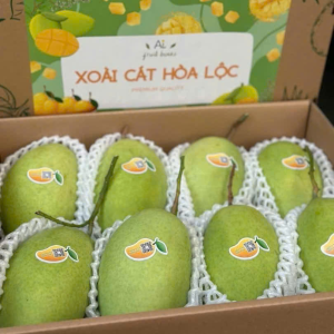 CAT HOA LOC MANGO – VIETNAM | PREMIUM FRESH MANGO FOR WHOLESALE & EXPORT