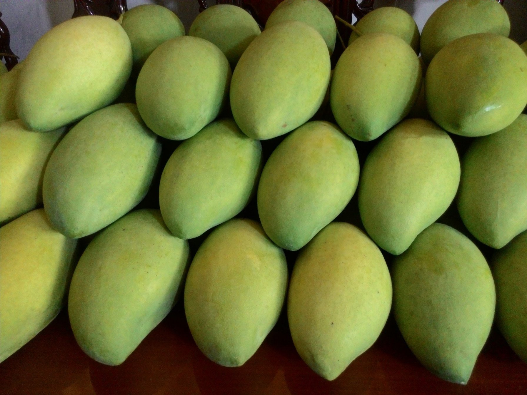CAT HOA LOC MANGO – VIETNAM | PREMIUM FRESH MANGO FOR WHOLESALE & EXPORT 2