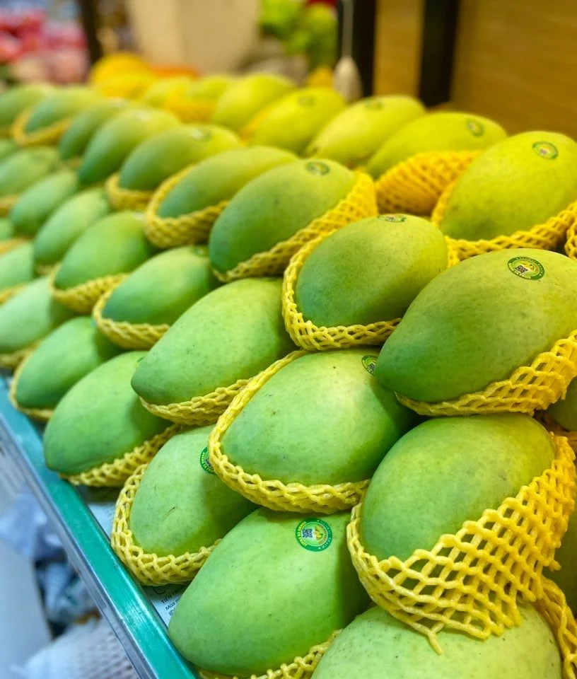 CAT HOA LOC MANGO – VIETNAM | PREMIUM FRESH MANGO FOR WHOLESALE & EXPORT 4