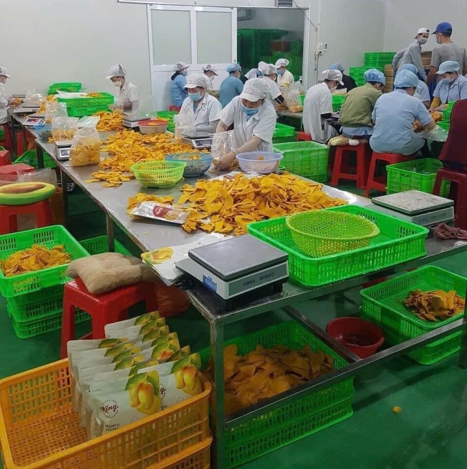 PREMIUM TROPICAL DRIED MANGO – VIETNAM | FOR SUPERMARKETS & WHOLESALE DISTRIBUTION