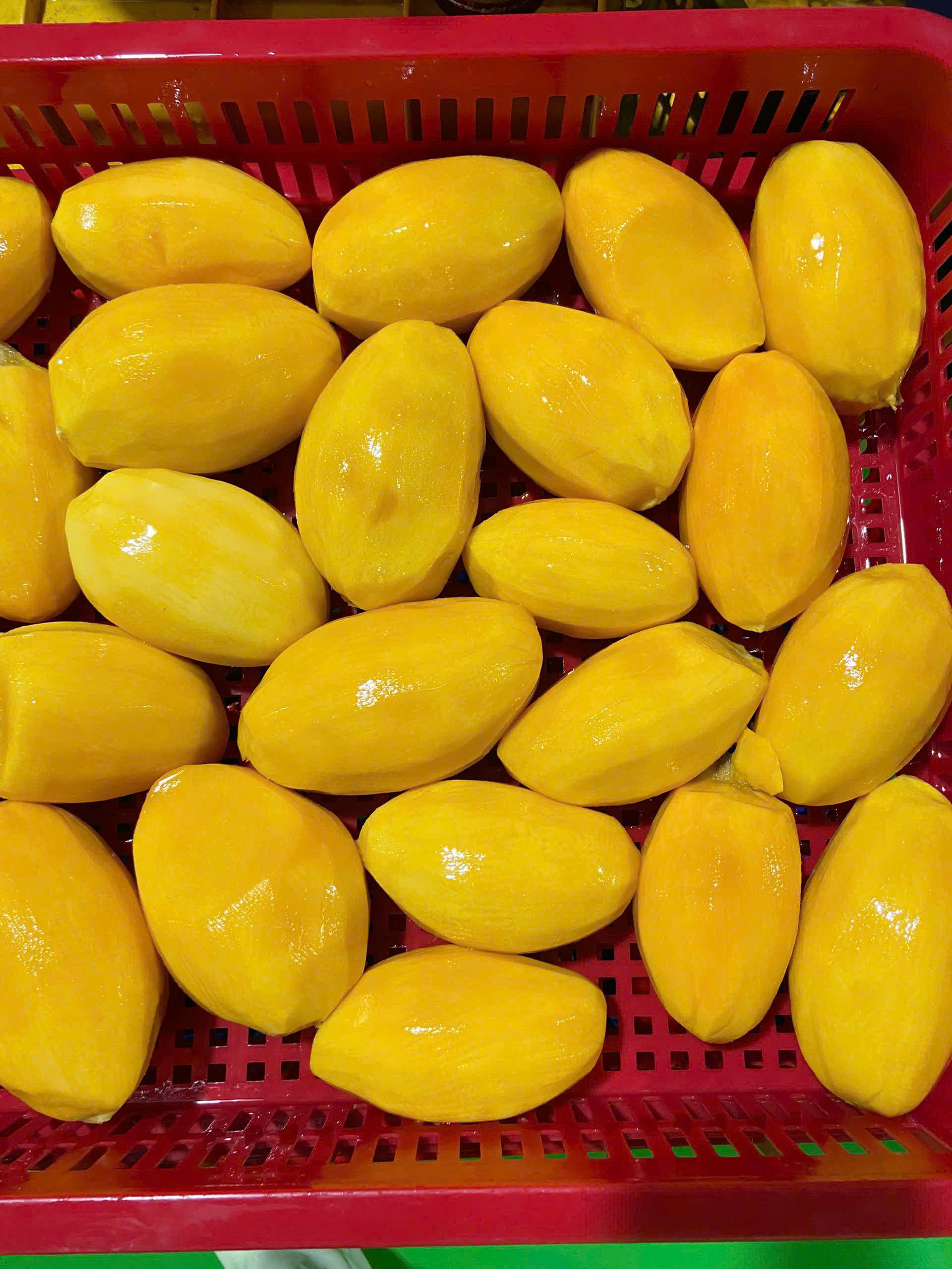 FROZEN MANGO PUREE – VIETNAM | NATURAL TROPICAL FRUIT INGREDIENT FOR B2B 2
