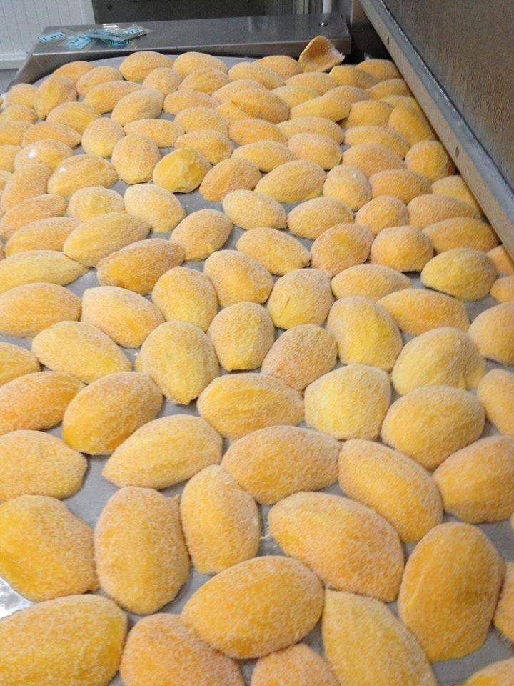 IQF FROZEN KAEW MANGO – VIETNAM | HIGH-QUALITY WHOLESALE TROPICAL FRUIT 2