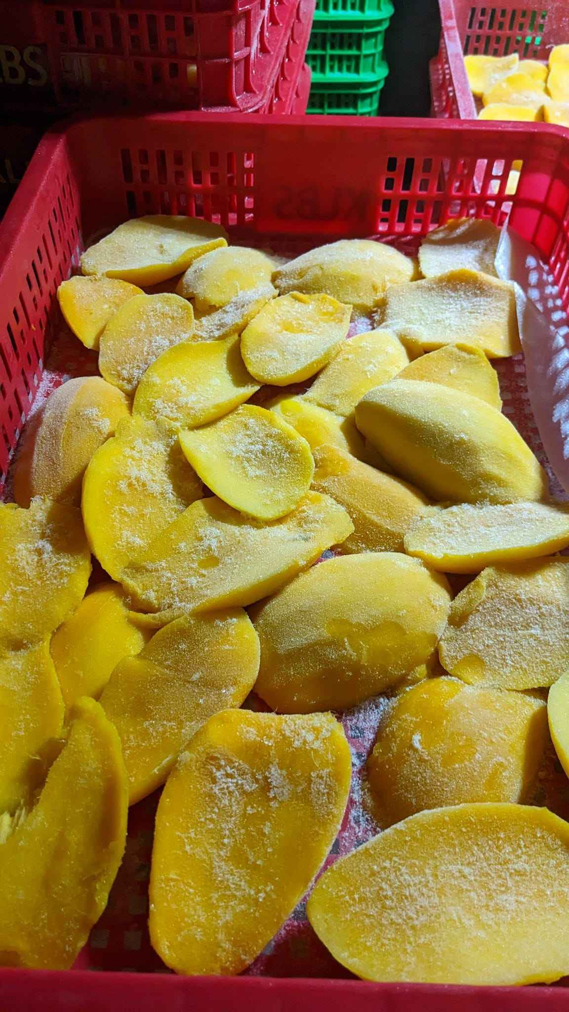 IQF FROZEN KAEW MANGO – VIETNAM | HIGH-QUALITY WHOLESALE TROPICAL FRUIT 3