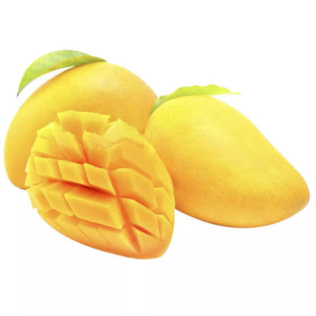 CAT CHU MANGO – VIETNAM | SWEET AROMATIC FRESH MANGO FOR WHOLESALE & EXPORT