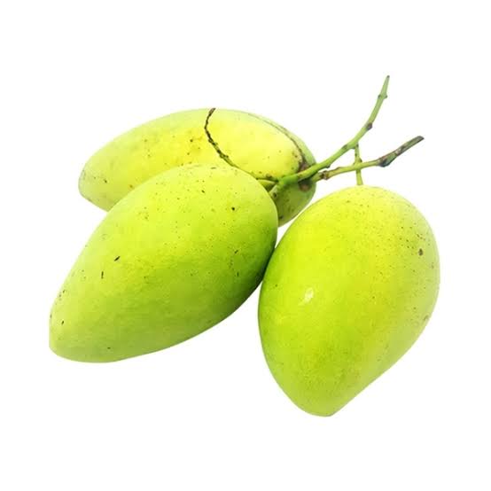 CAT CHU MANGO – VIETNAM | SWEET AROMATIC FRESH MANGO FOR WHOLESALE & EXPORT 2