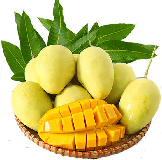 CAT CHU MANGO – VIETNAM | SWEET AROMATIC FRESH MANGO FOR WHOLESALE & EXPORT 4