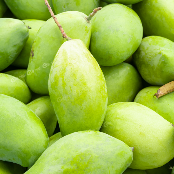 KEW MANGO – VIETNAM | FRESH TROPICAL MANGO FOR WHOLESALE & EXPORT
