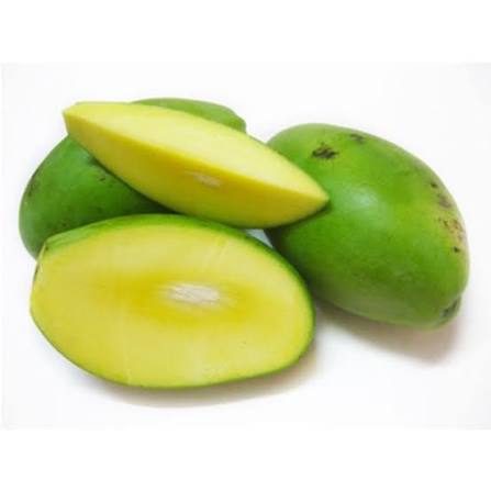 KEW MANGO – VIETNAM | FRESH TROPICAL MANGO FOR WHOLESALE & EXPORT 4