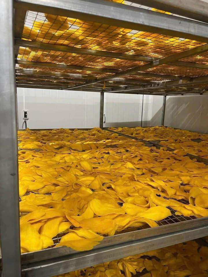 VIETNAMESE SOFT-DRIED MANGO – NON-GMO | SUPPLIER FOR IMPORTERS & WHOLESALE 4