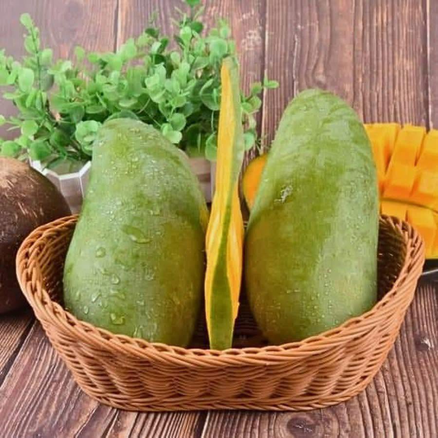 BINH DINH TUONG MANGO – VIETNAM | LARGE FRESH MANGO FOR WHOLESALE & EXPORT