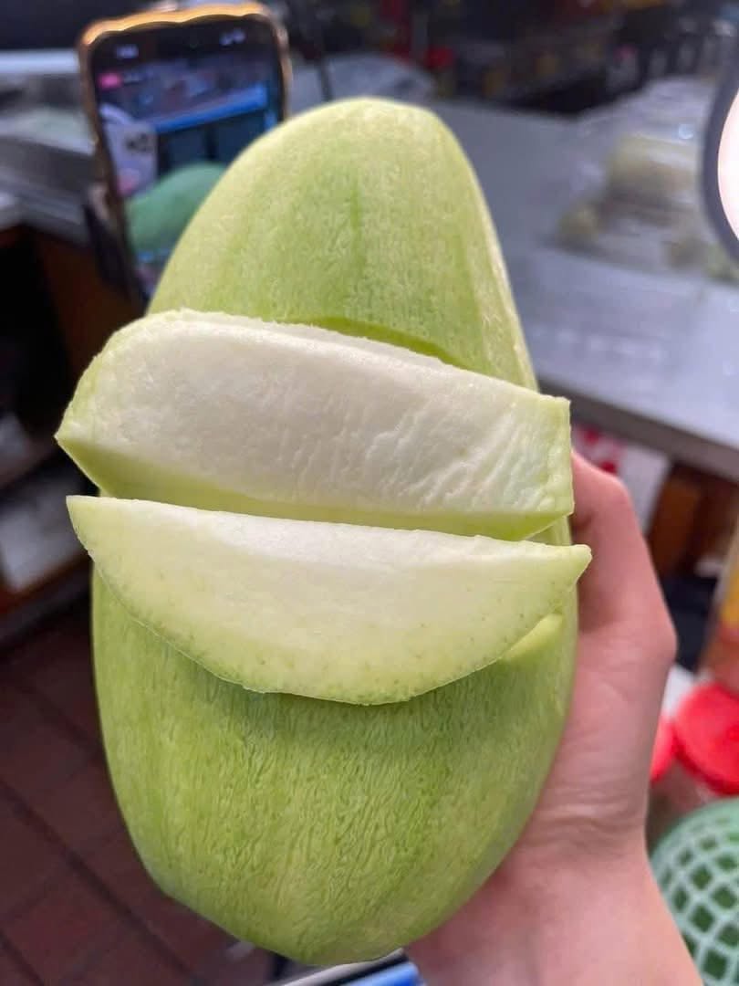 BINH DINH TUONG MANGO – VIETNAM | LARGE FRESH MANGO FOR WHOLESALE & EXPORT 2