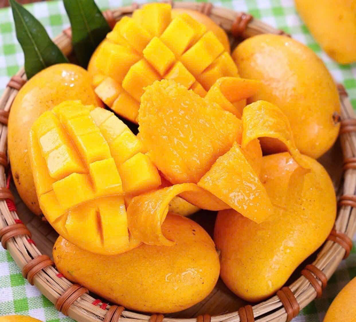 VIETNAMESE MANGO MUT – FRESH SWEET-TANGY TROPICAL MANGO FOR WHOLESALE & EXPORT 2