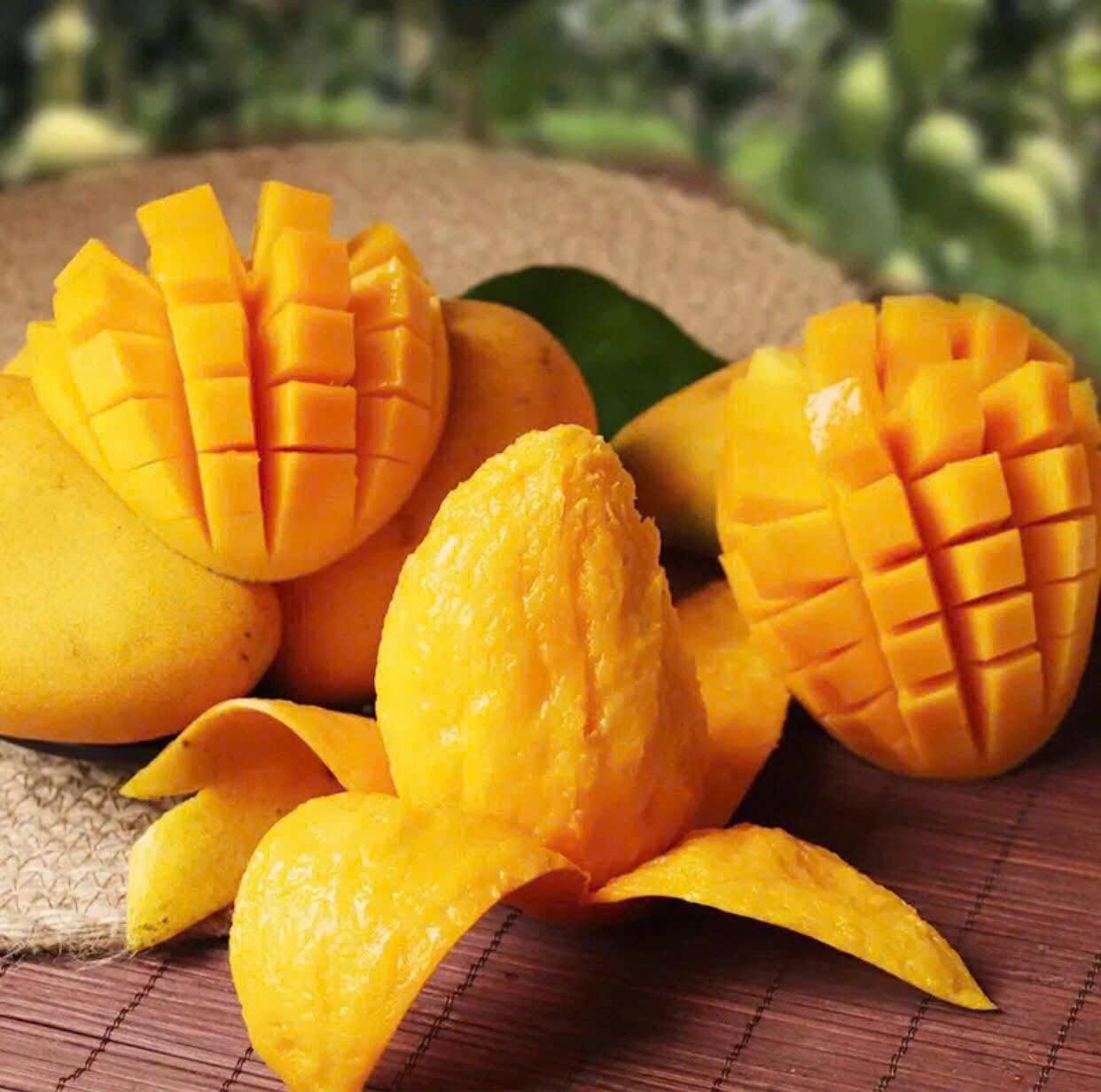 VIETNAMESE MANGO MUT – FRESH SWEET-TANGY TROPICAL MANGO FOR WHOLESALE & EXPORT 4