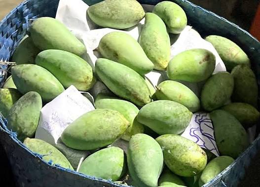 SIAM MANGO – VIETNAM | FRESH SWEET-TANGY TROPICAL FRUIT FOR WHOLESALE & EXPORT 4