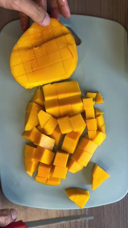 CANNED MANGO DICE – VIETNAM | SWEET TROPICAL FRUIT FOR WHOLESALE & EXPORT 3
