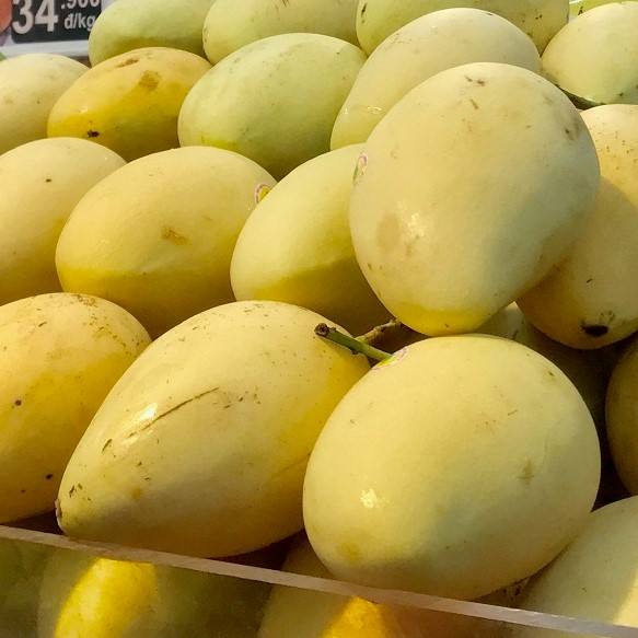 PREMIUM VIETNAMESE FRESH MANGO – EXPORT PACKAGING | COMPETITIVE PRICING & RICH TROPICAL FLAVORS 2