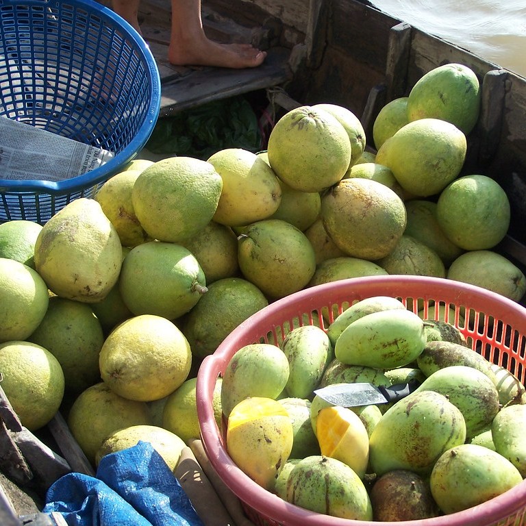 BUOI MANGO – VIETNAM | DISTINCTIVE FRESH TROPICAL MANGO FOR WHOLESALE & EXPORT