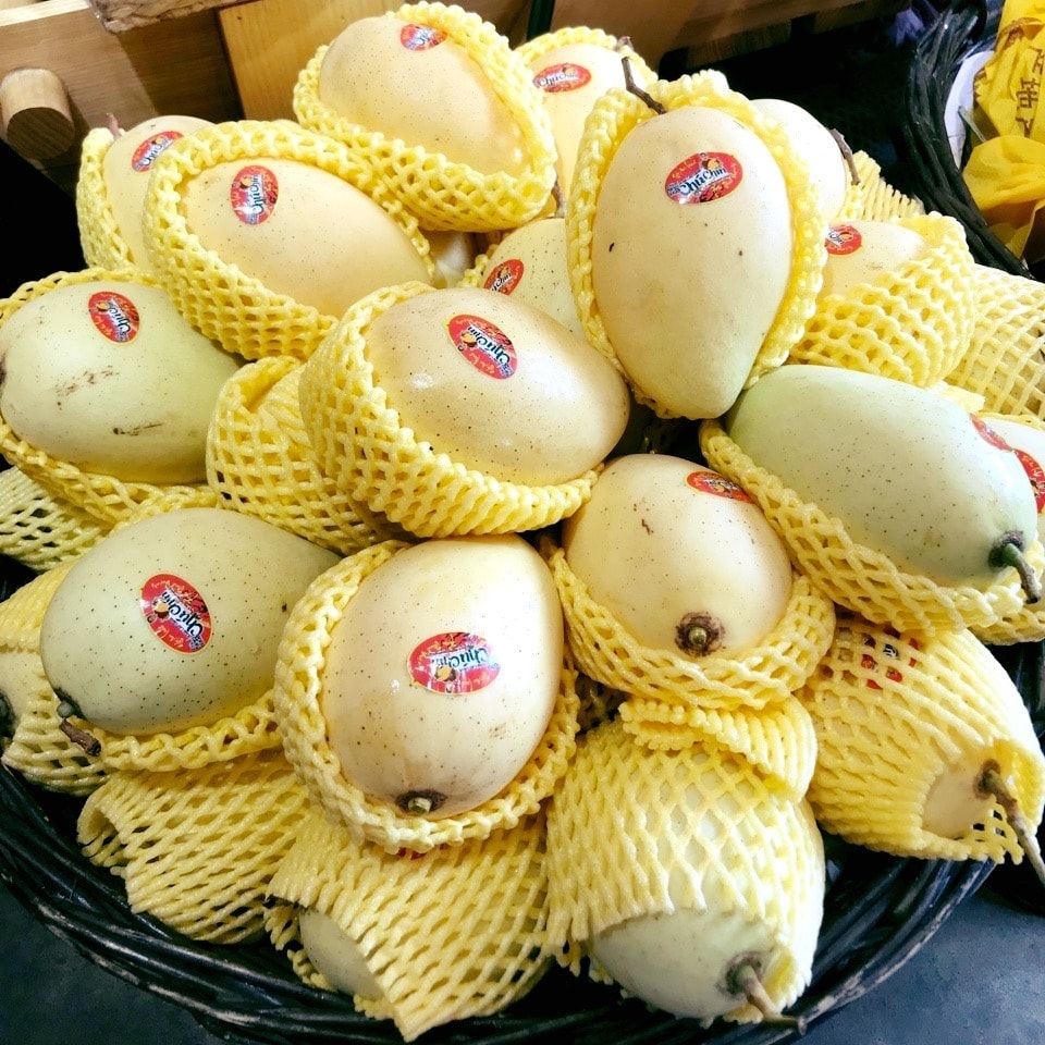 FRESH VIETNAMESE MANGO SUPPLIER – KEO & CAT CHU | BULK WHOLESALE FOR EXPORT BUYERS