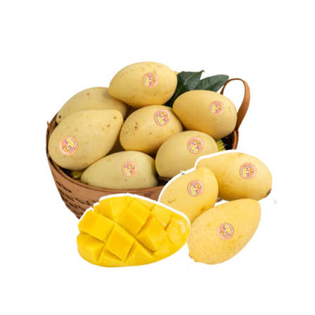 FRESH VIETNAMESE MANGO SUPPLIER – KEO & CAT CHU | BULK WHOLESALE FOR EXPORT BUYERS 2