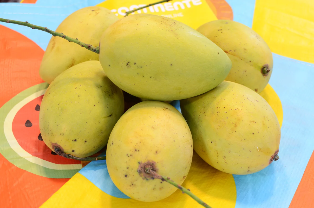 FRESH VIETNAMESE MANGO SUPPLIER – KEO & CAT CHU | BULK WHOLESALE FOR EXPORT BUYERS 3