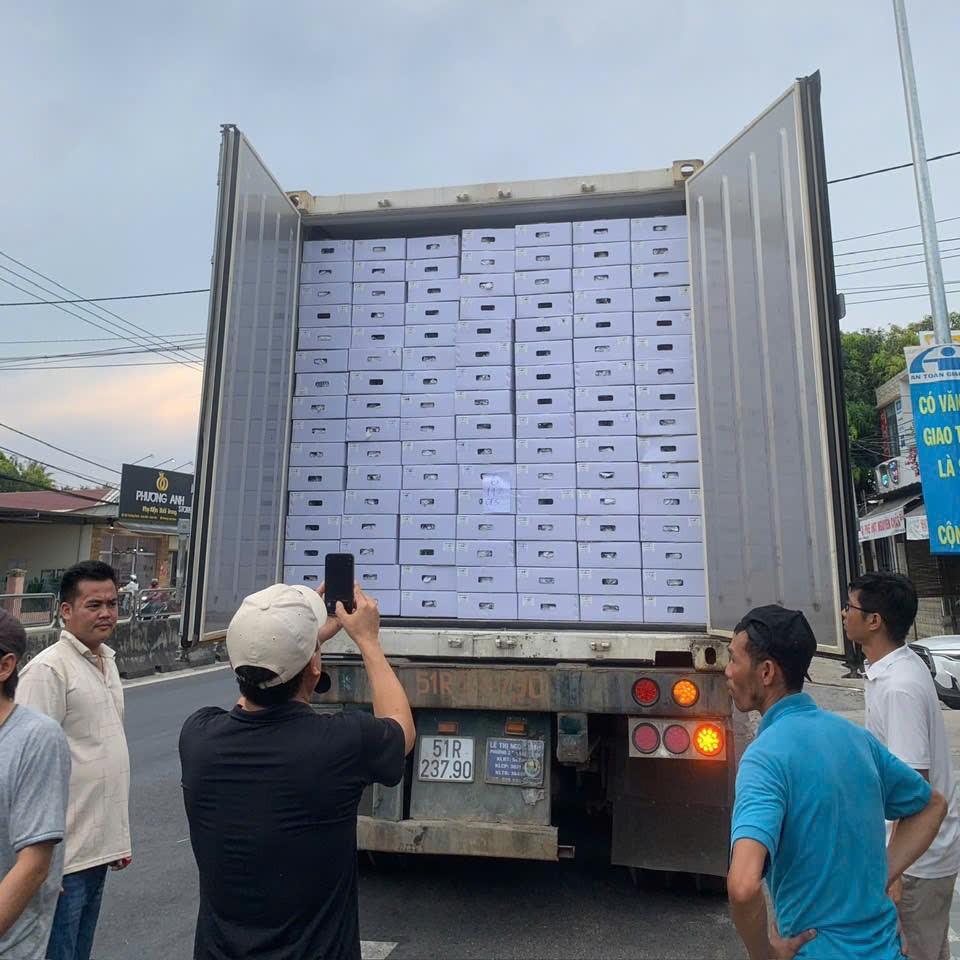 GRADE 1 FRESH VIETNAMESE MANGO – NATURAL SWEETNESS | NON-GMO WHOLESALE & EXPORT