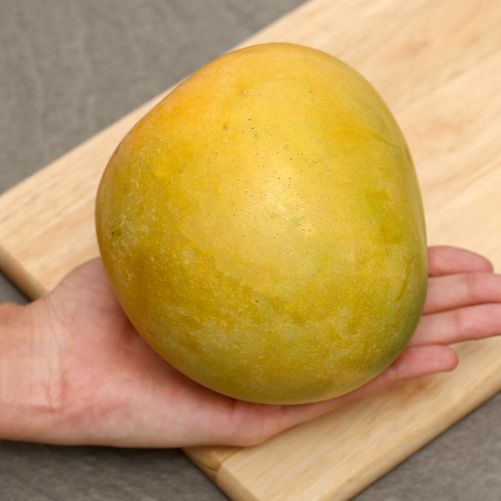 GRADE 1 FRESH VIETNAMESE MANGO – NATURAL SWEETNESS | NON-GMO WHOLESALE & EXPORT 2