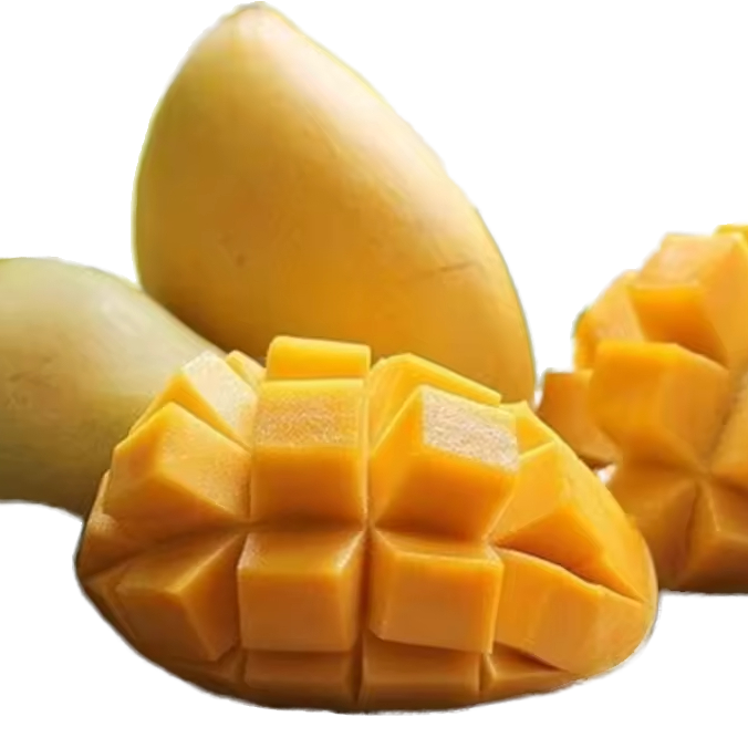 PREMIUM FRESH VIETNAMESE MANGO – BULK WHOLESALE | NATURAL-TASTING TROPICAL FRUIT