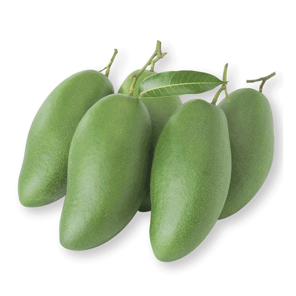 THAI MANGO – VIETNAM | FRESH SWEET-TANGY MANGO FOR WHOLESALE & EXPORT 2