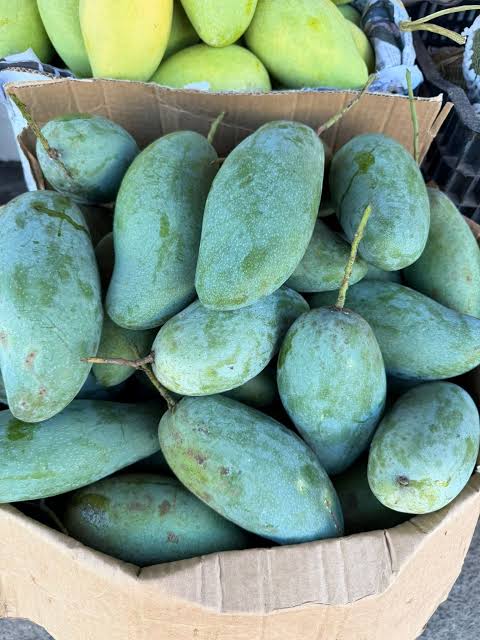 THAI MANGO – VIETNAM | FRESH SWEET-TANGY MANGO FOR WHOLESALE & EXPORT 4
