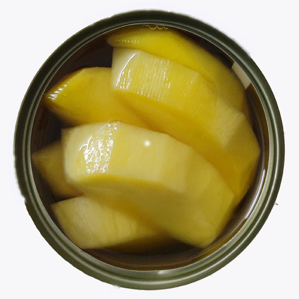 CANNED MANGO SLICES IN SYRUP OR JUICE – VIETNAM | READY-TO-EAT TROPICAL FRUIT 2