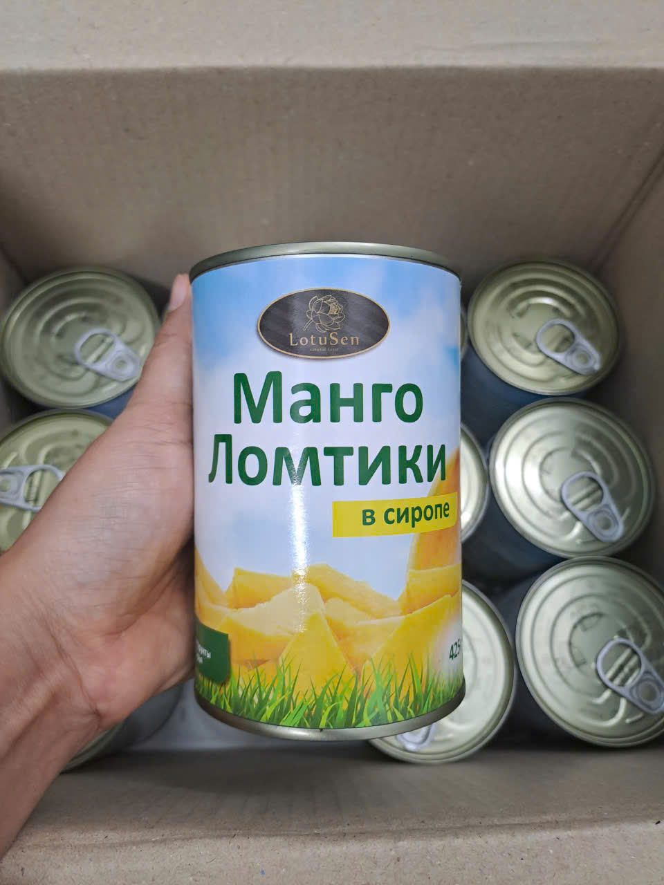 CANNED MANGO SLICES IN SYRUP OR JUICE – VIETNAM | READY-TO-EAT TROPICAL FRUIT 3