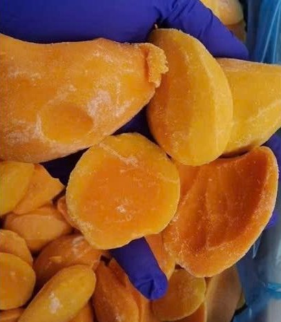 NATURAL FROZEN MANGO – VIETNAM | BULK PACKAGING FOR ICE CREAM, SLICES, DICES & PUREE 3