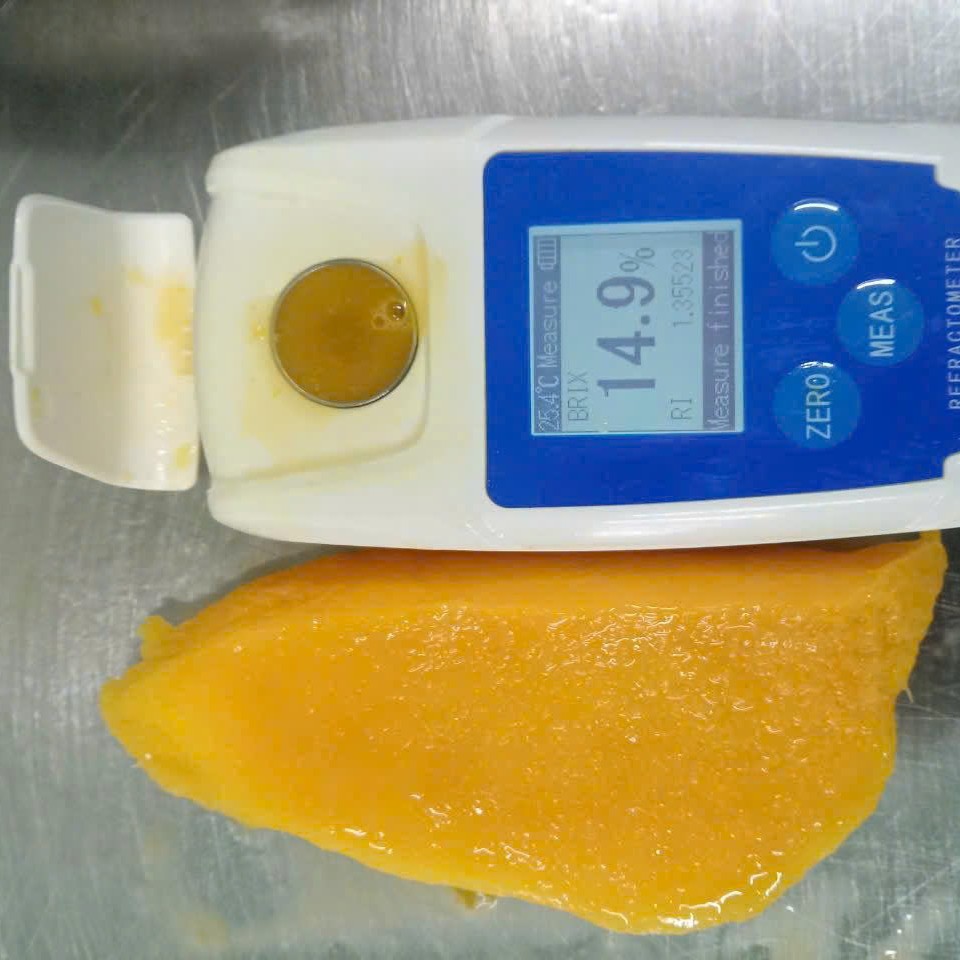 FROZEN MANGO PUREE – VIETNAM | WHOLESALE & EXPORT FOR SUMMER BEVERAGES