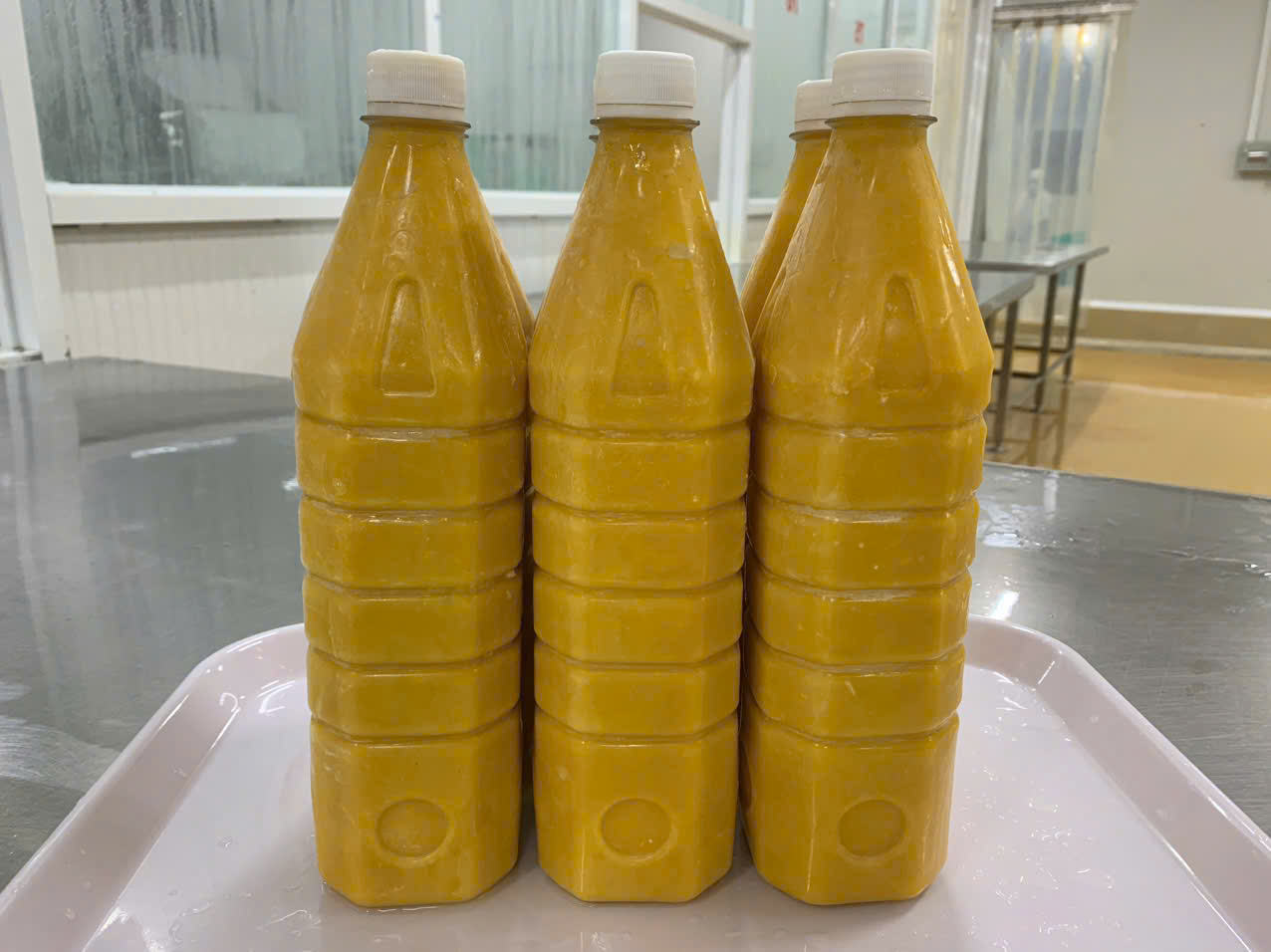 FROZEN MANGO PUREE – VIETNAM | WHOLESALE & EXPORT FOR SUMMER BEVERAGES 2